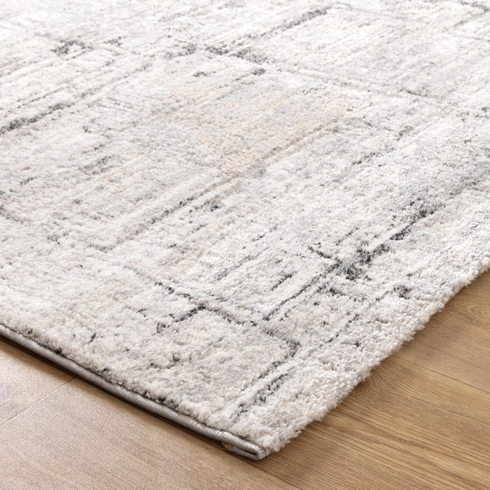 Sunkist Distressed Grey Rug